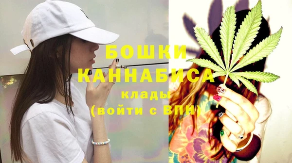 СК Богородицк