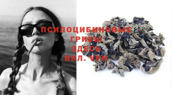 СК Богородицк